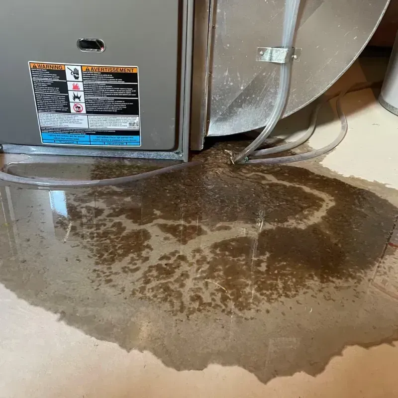 Appliance Leak Cleanup in Dennison, OH